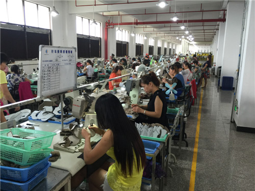 Sinosure Supporting the Export of Textile Products