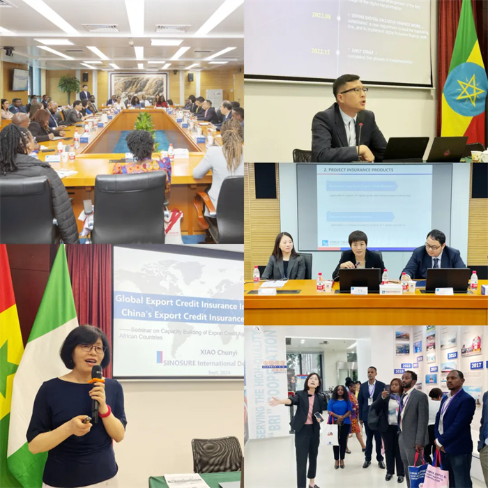 中國信保圓滿完成非洲(英語國家)出口信用機構能力建設研修班系列工作